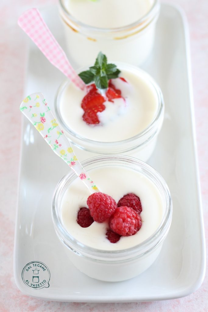 iogurte natural e grego feito com instant pot