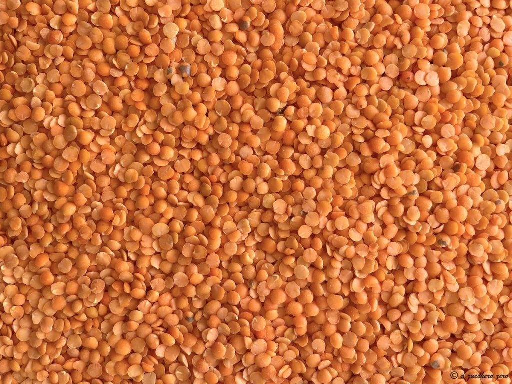 lentilhas vermelhas descascadas