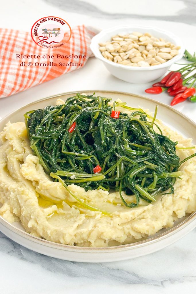 macco de favas siciliano