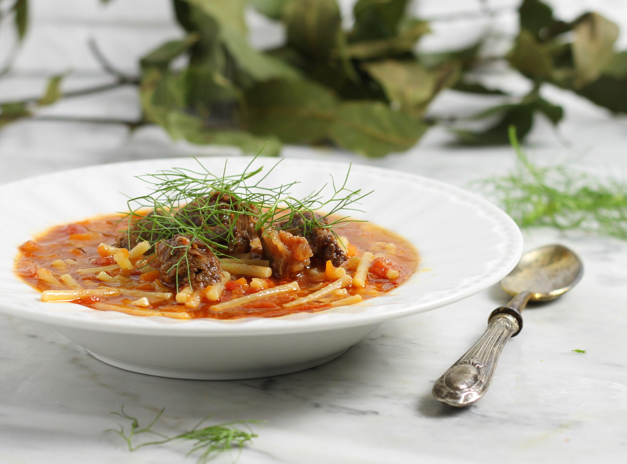 Sopa de rabo com tomate na panela de pressão