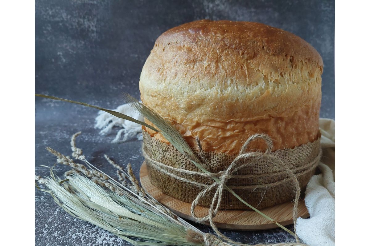 Panetone salgado gastronômico macio