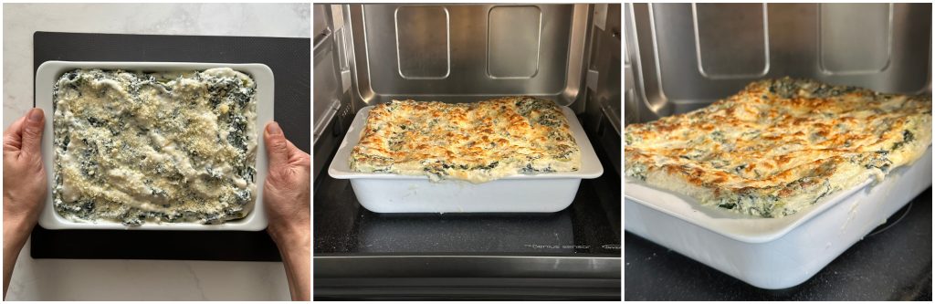 Lasanha de magro no micro-ondas