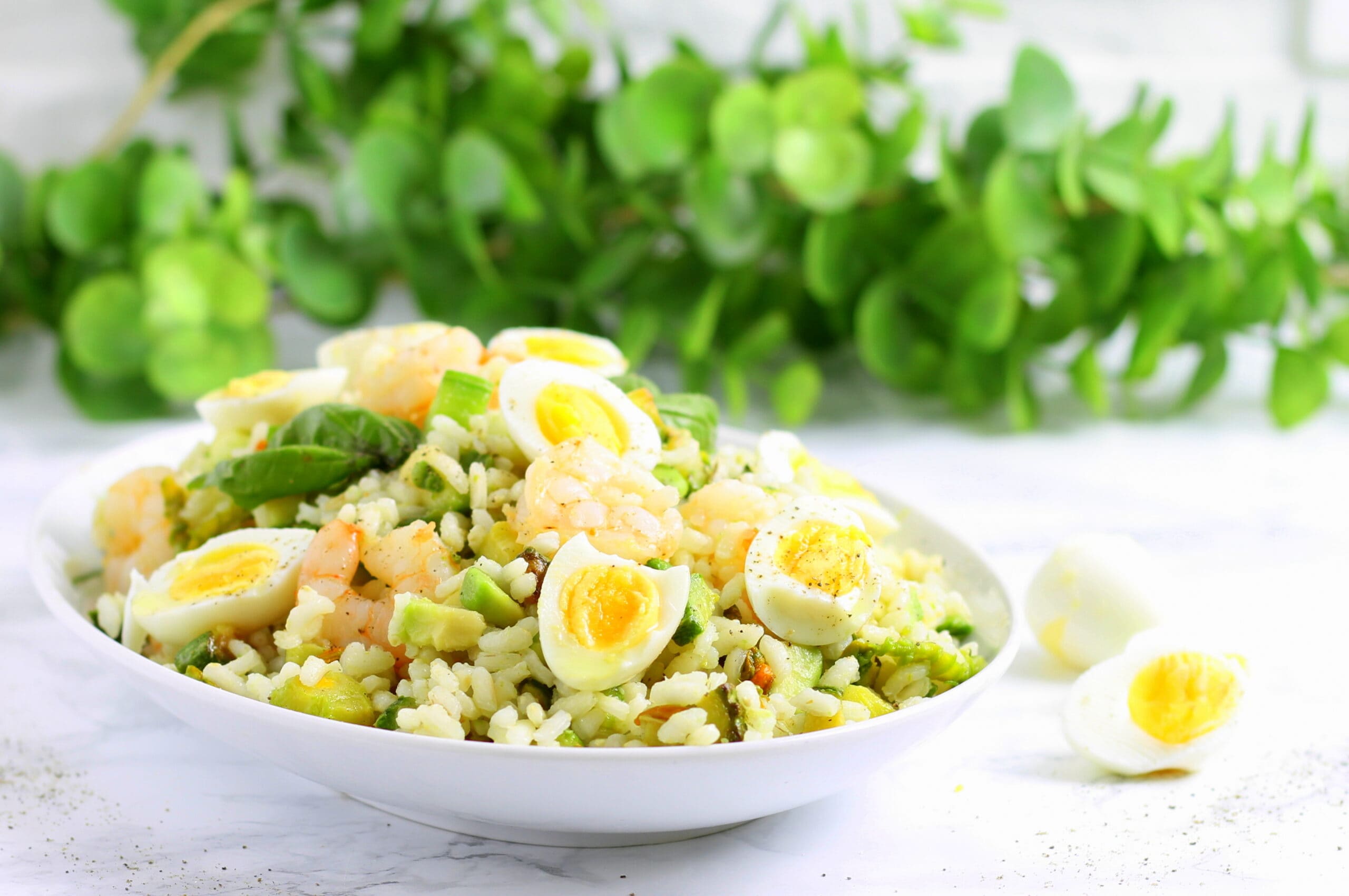 Salada de arroz com camarões, abacate e abobrinha