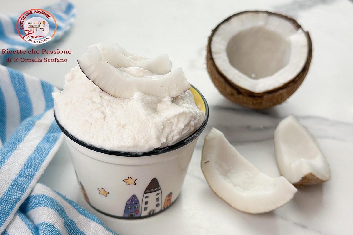 Sorvete de coco vegano