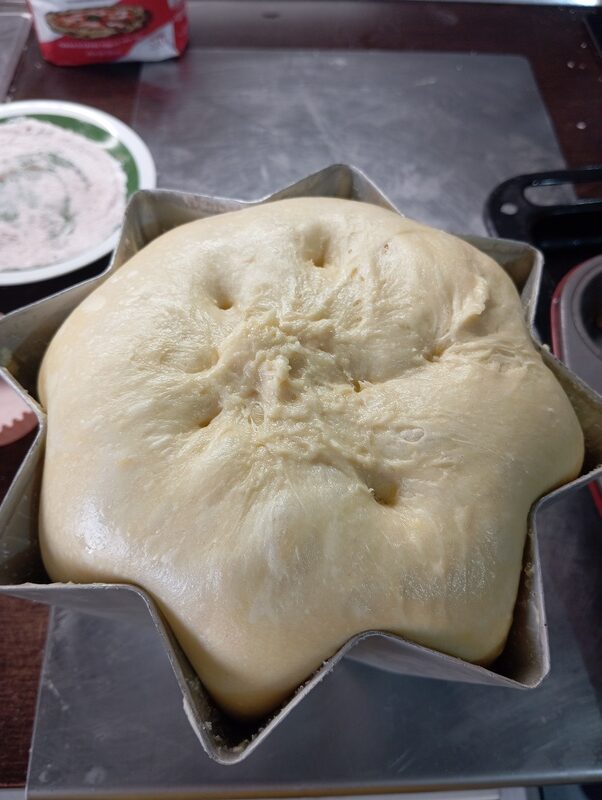 Pandoro em fermentação
