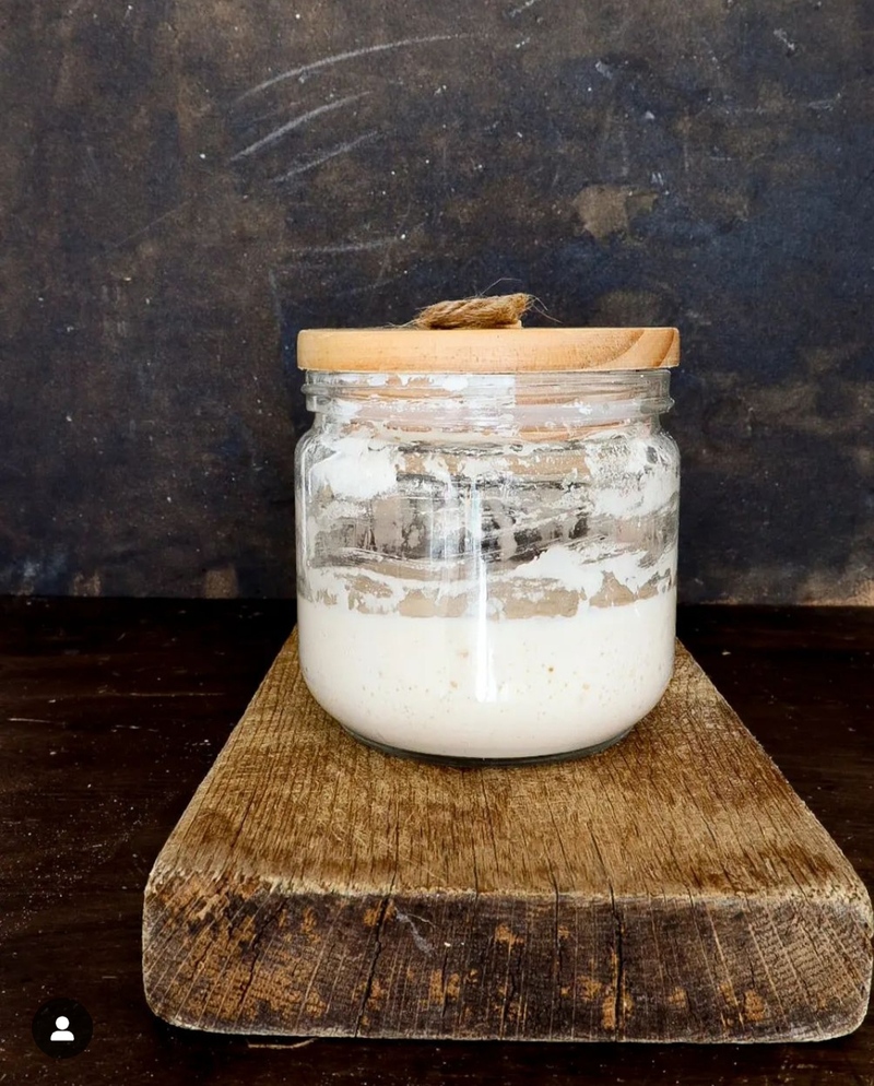 FERMENTO NATURAL FEITO EM CASA SEM DESCARTE