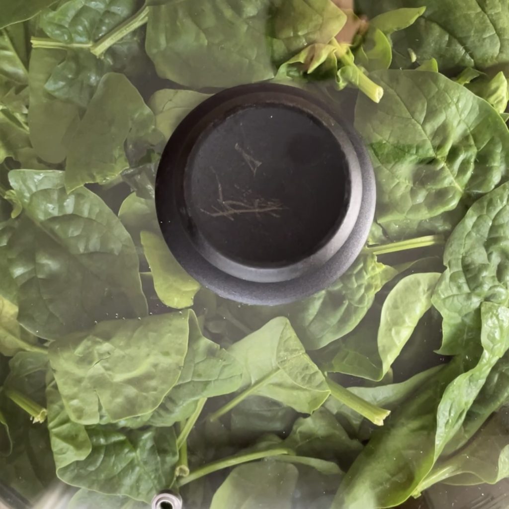 Cannelloni vegetarianos com ricota e espinafre