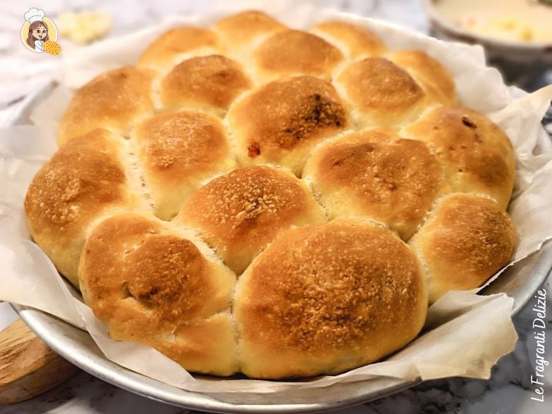 Danubio salgado com provolone e salame