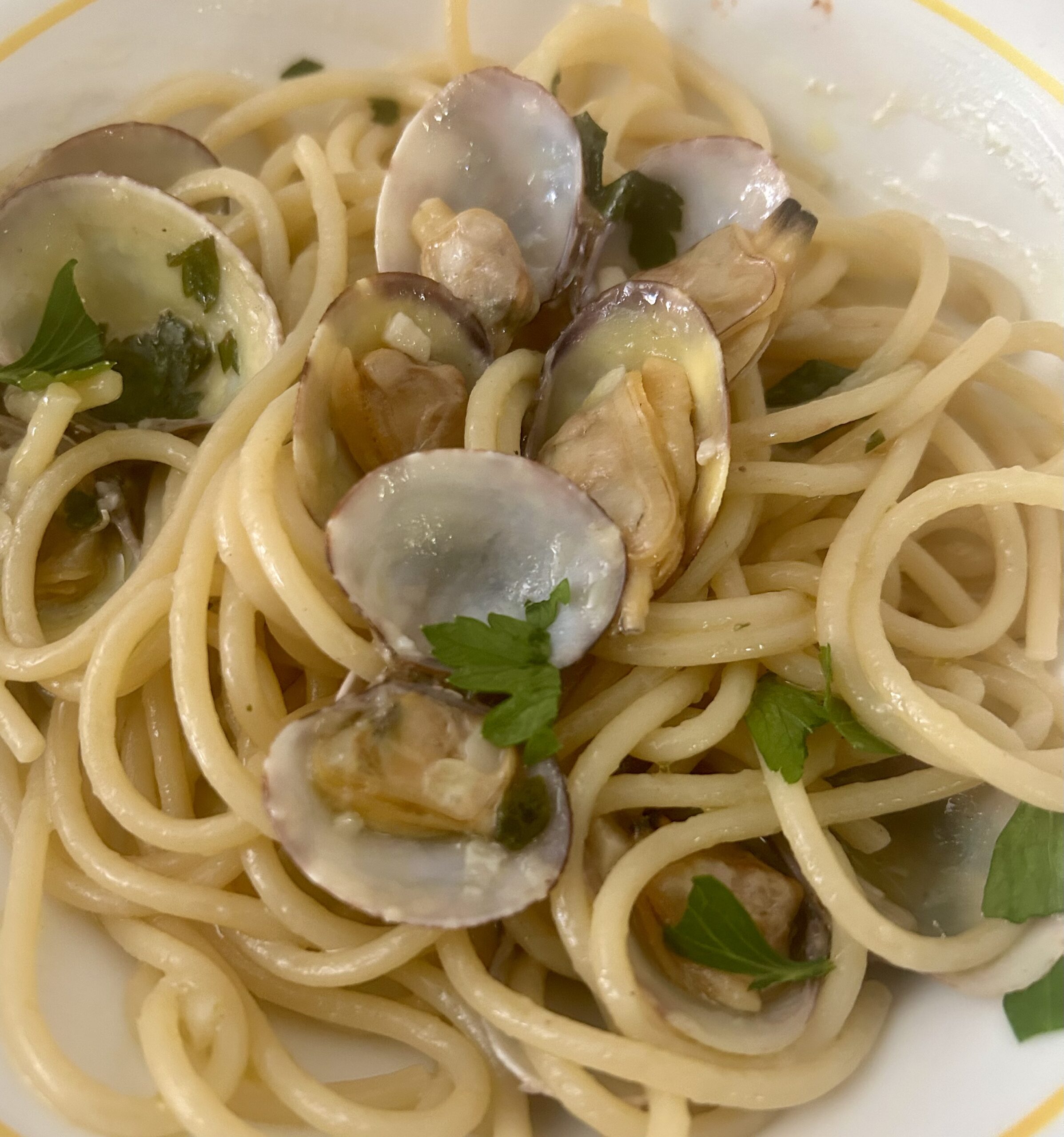 Spaghetti com vôngole: minha receita fácil e cremosa