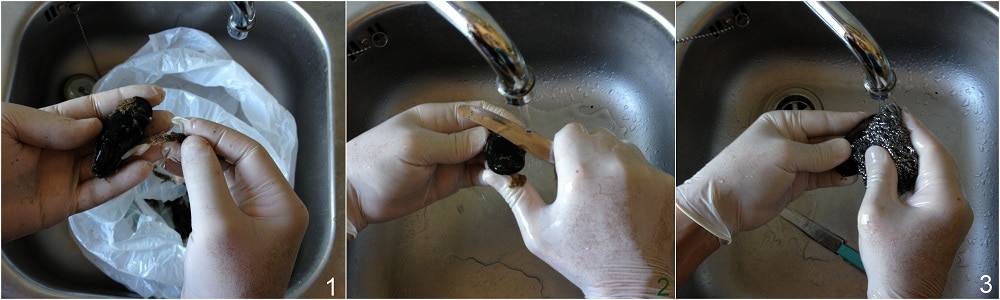 Mexilhões ao molho de tomate receita simples o grão de milho 1