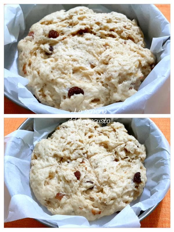 Pão doce de São Francisco