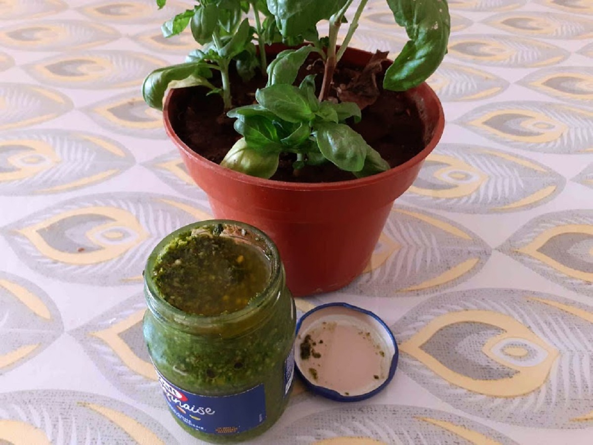 Pesto alla genovese com bimby truques e segredos