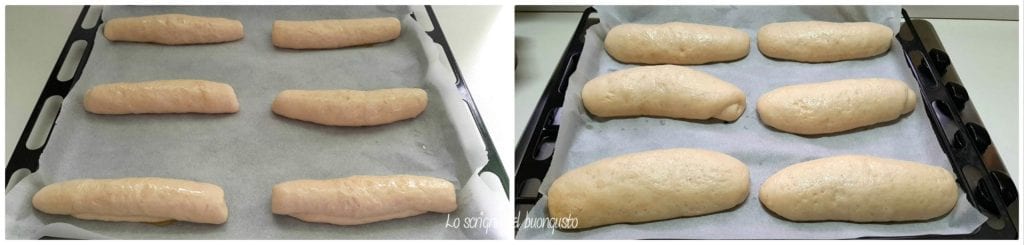 Pãezinhos de espelta