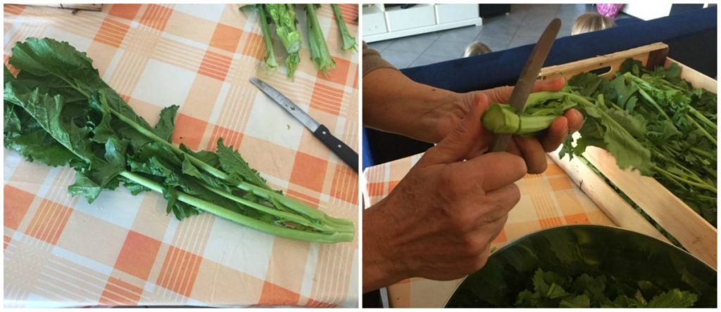 como limpar cozinhar folhas de nabiça