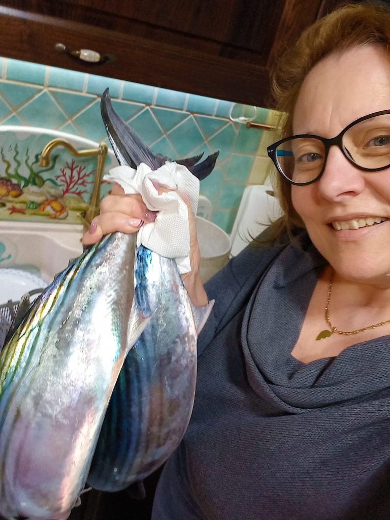 Cubinhos de peixe bonito com batatas em ensopado