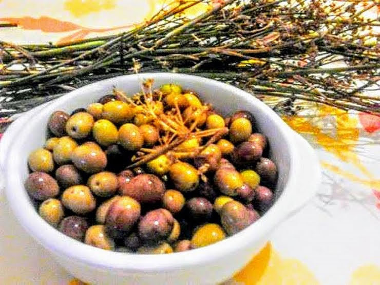 Azeitonas em salmoura receita pugliese com funcho selvagem