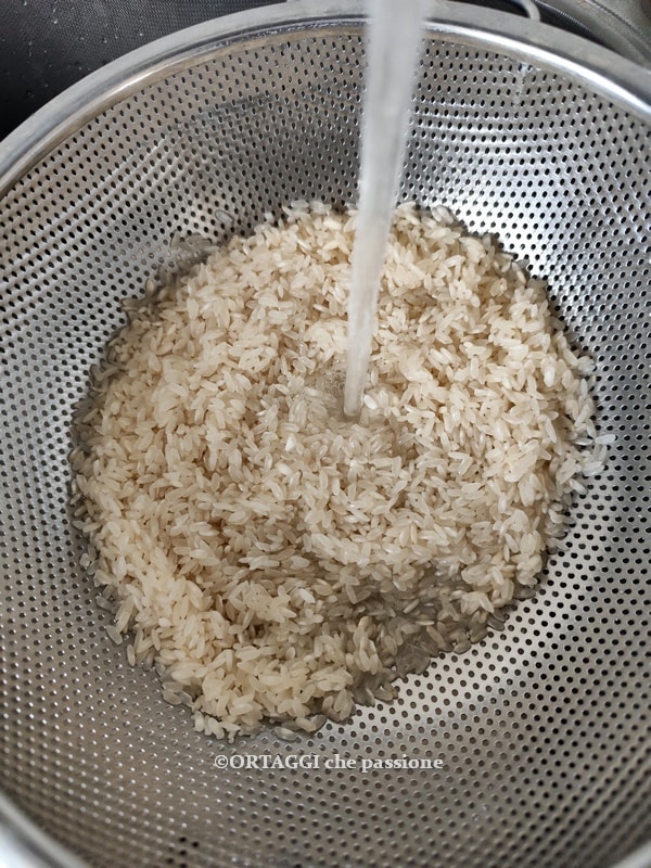lavar arroz para risoto de radicchio
