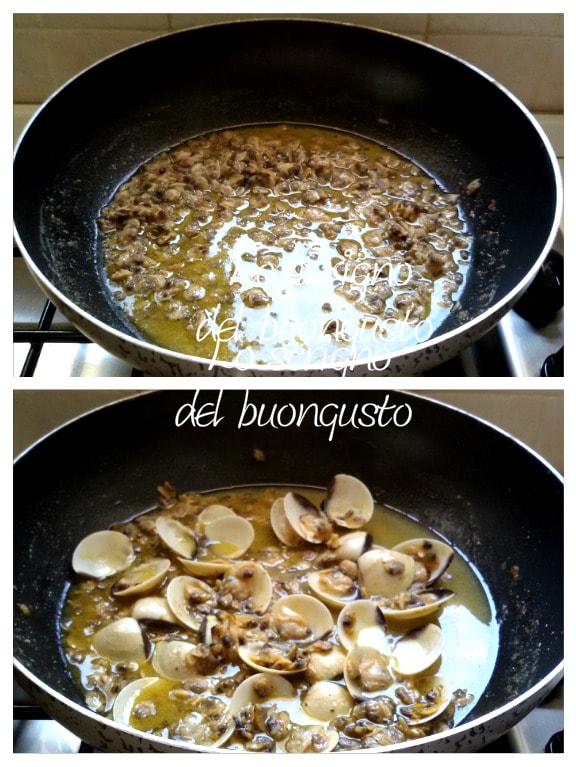 Folhas de oliveira com vôngole