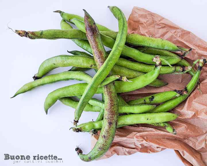 vagens de favas