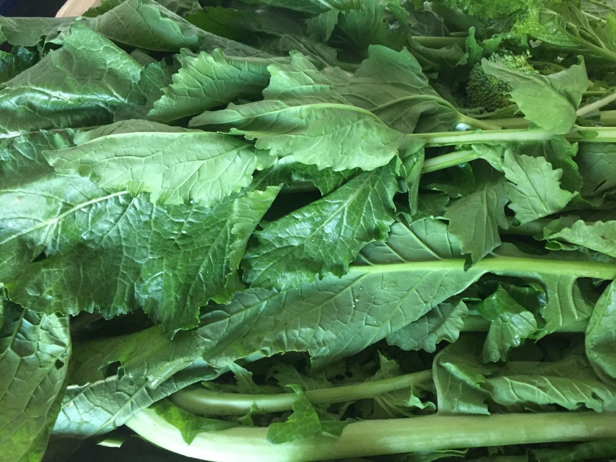 Como limpar e cozinhar folhas de nabiça