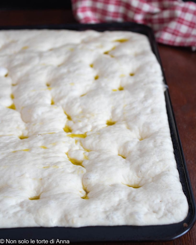 pizza com autólise como na pizzaria