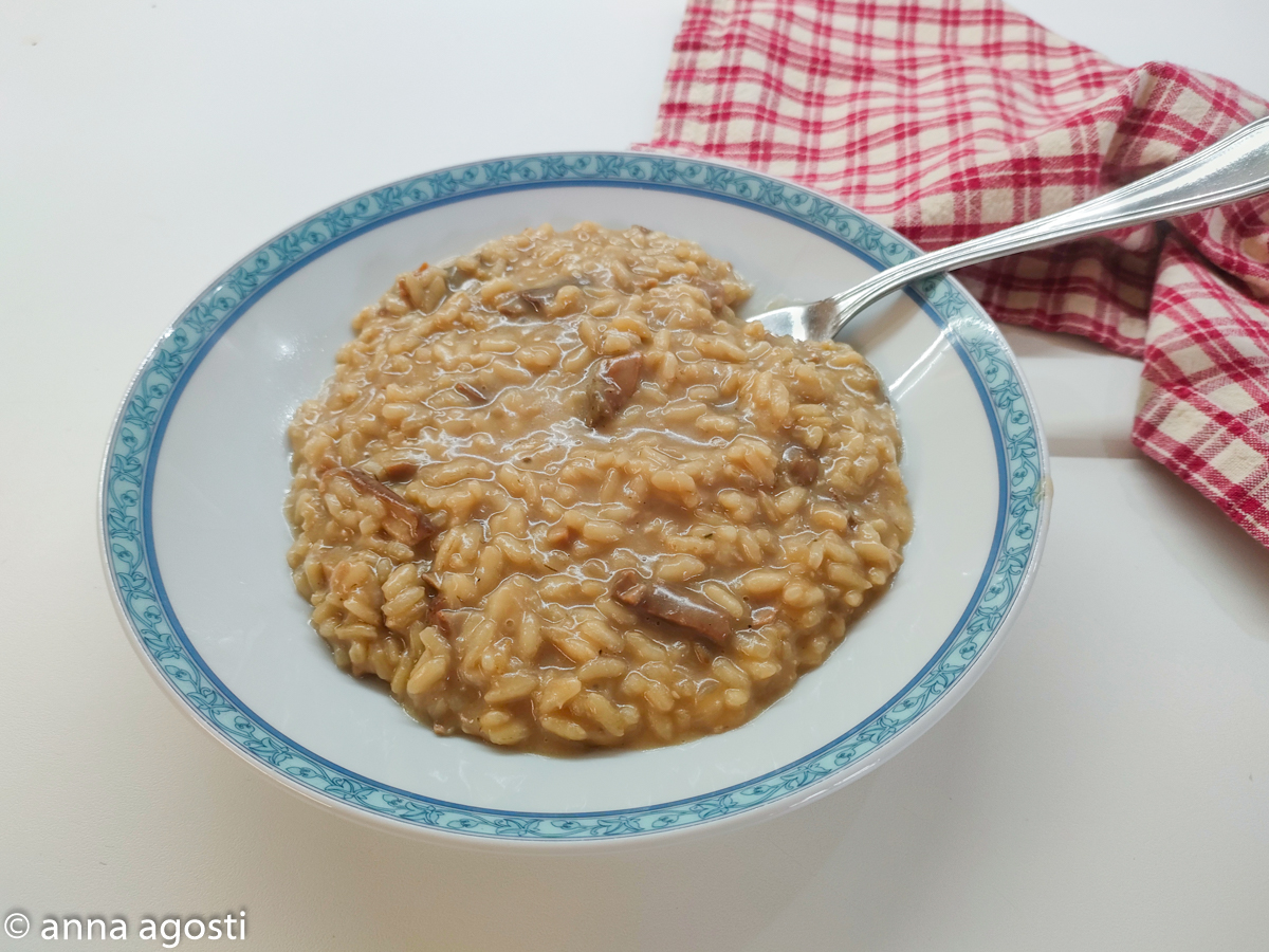 Risotto de cogumelos porcini