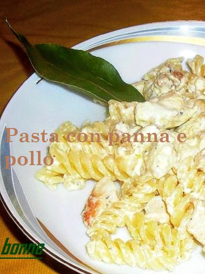 Macarrão com creme de leite e frango