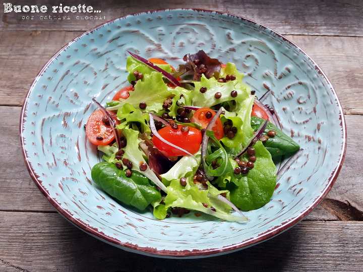 Salada de Lentilhas de Verão