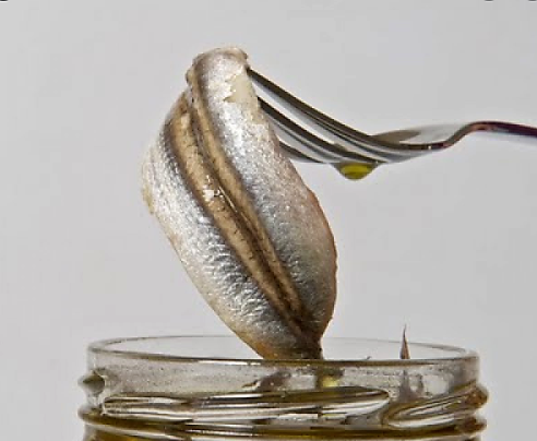 anchovas em óleo