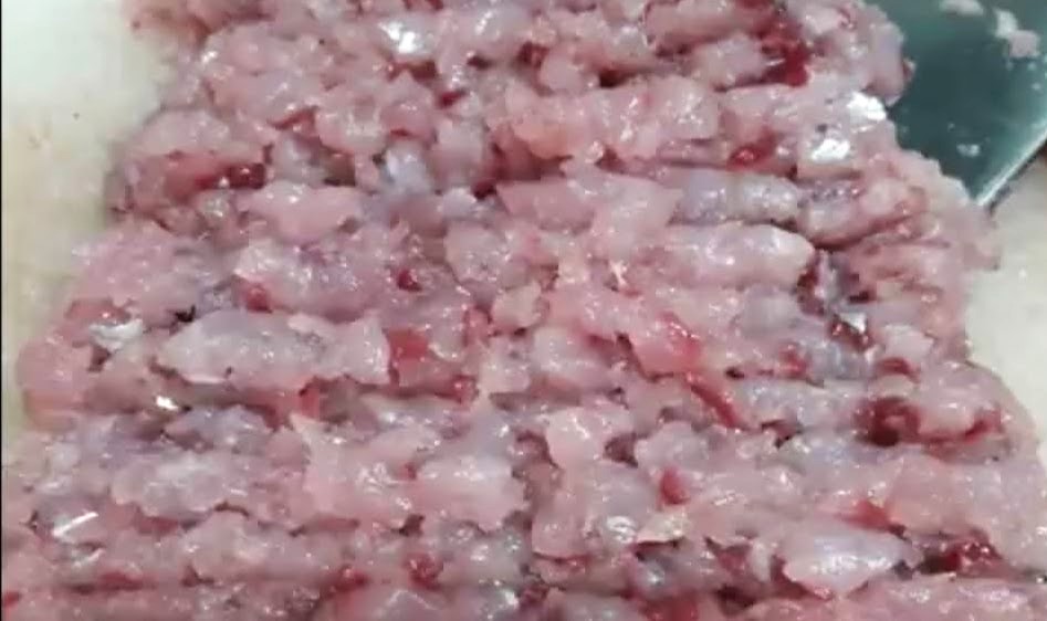 peixe picado