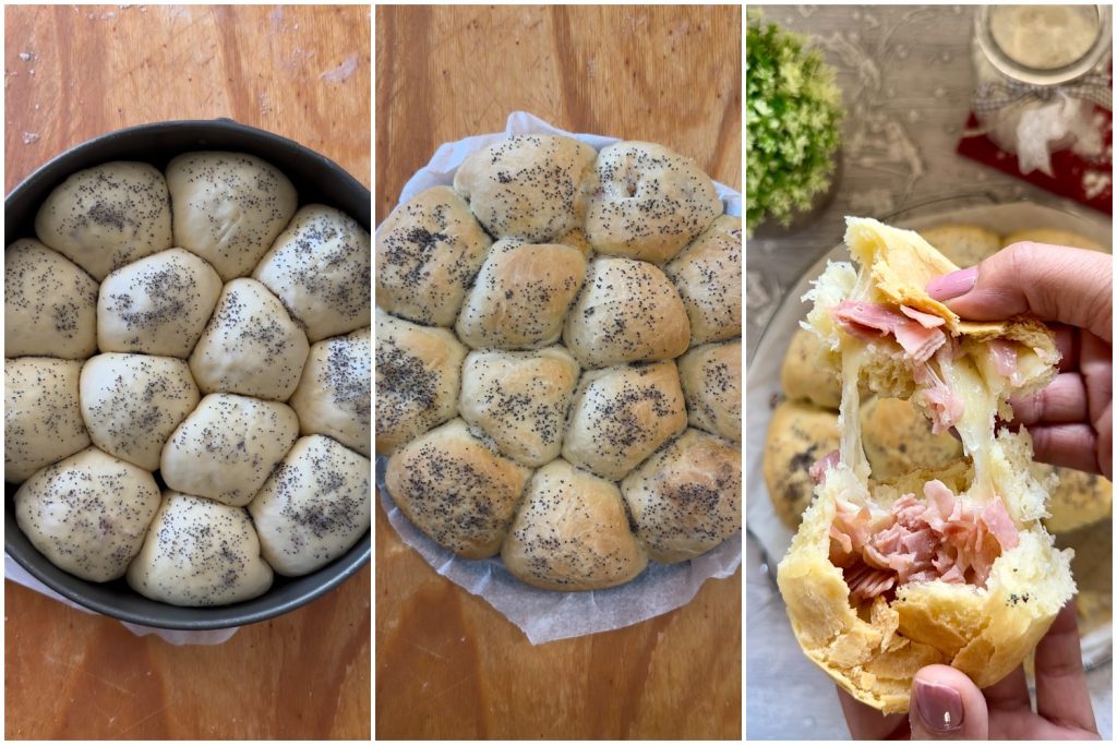 danúbio salgado com presunto