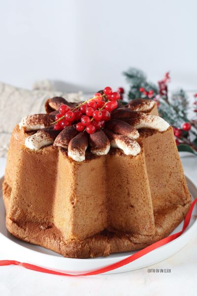 decoração do pandoro com mais creme, cacau amargo e groselhas vermelhas