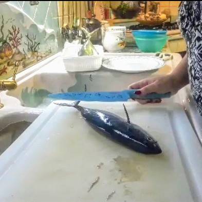 Bonito marinado com cítricos