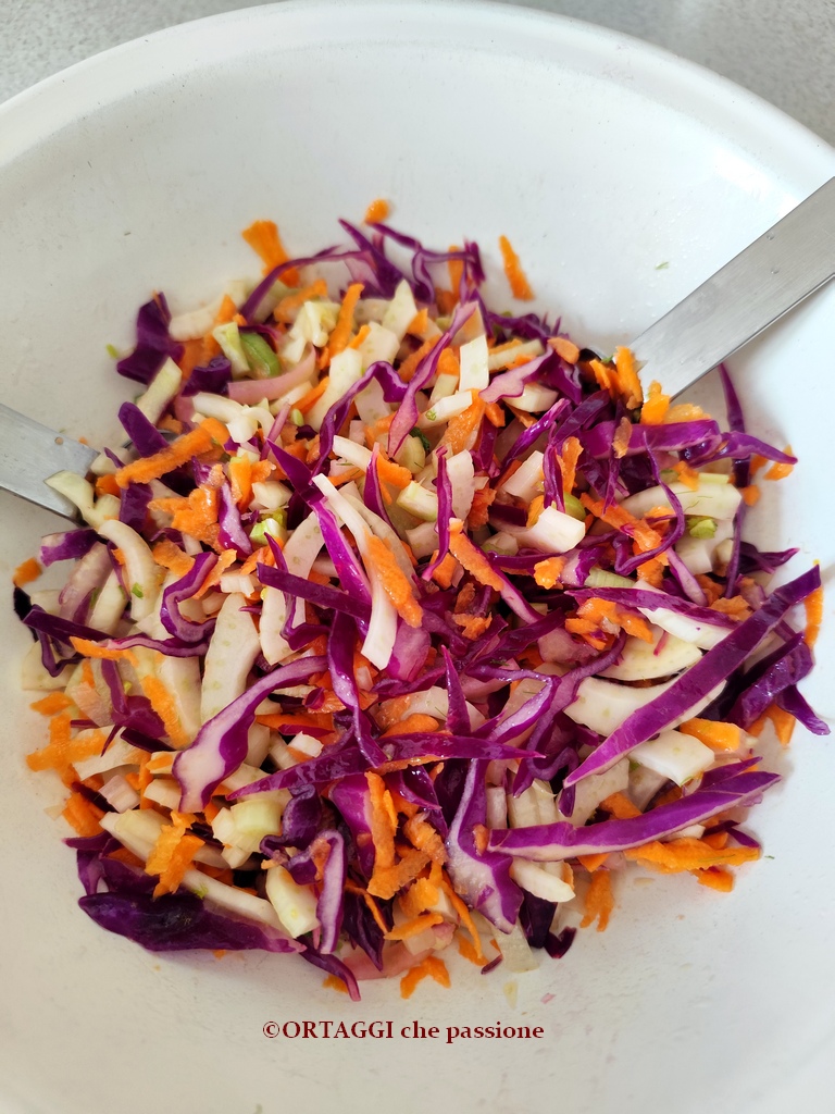 COMBINAÇÕES para o repolho roxo em salada