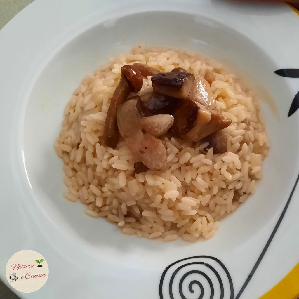 risoto de cogumelos com porcini