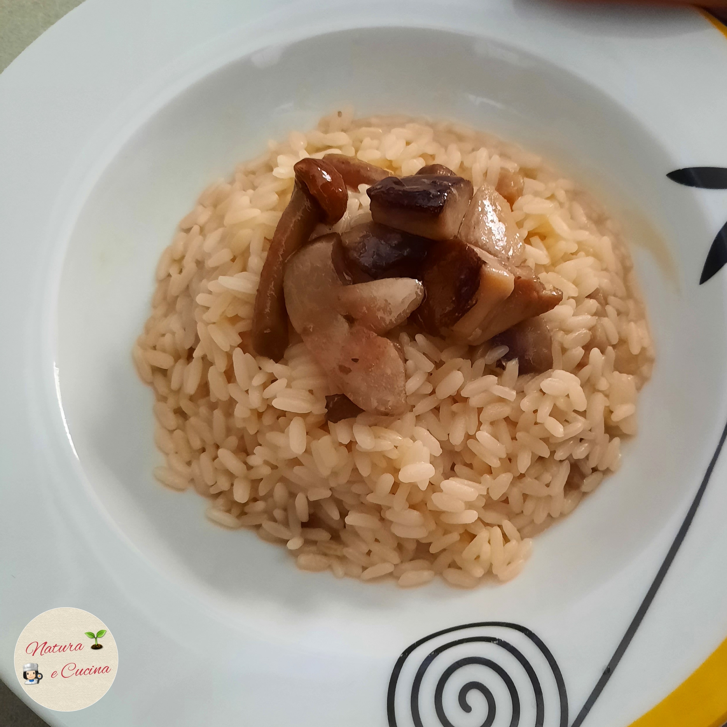 Risoto de cogumelos com porcini
