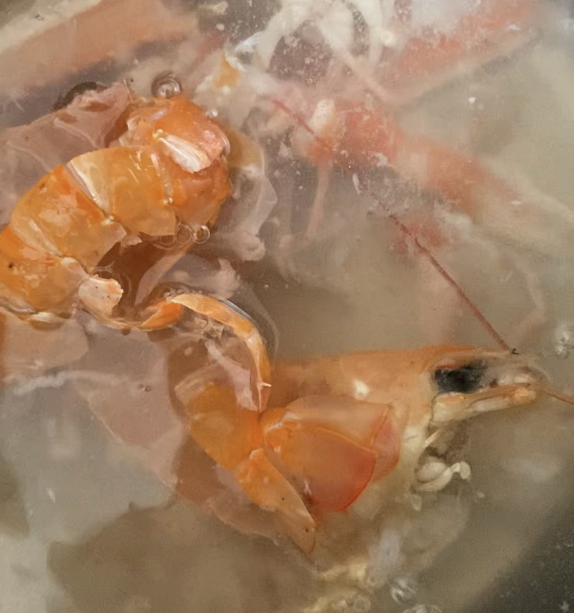 Preparação do caldo de peixe