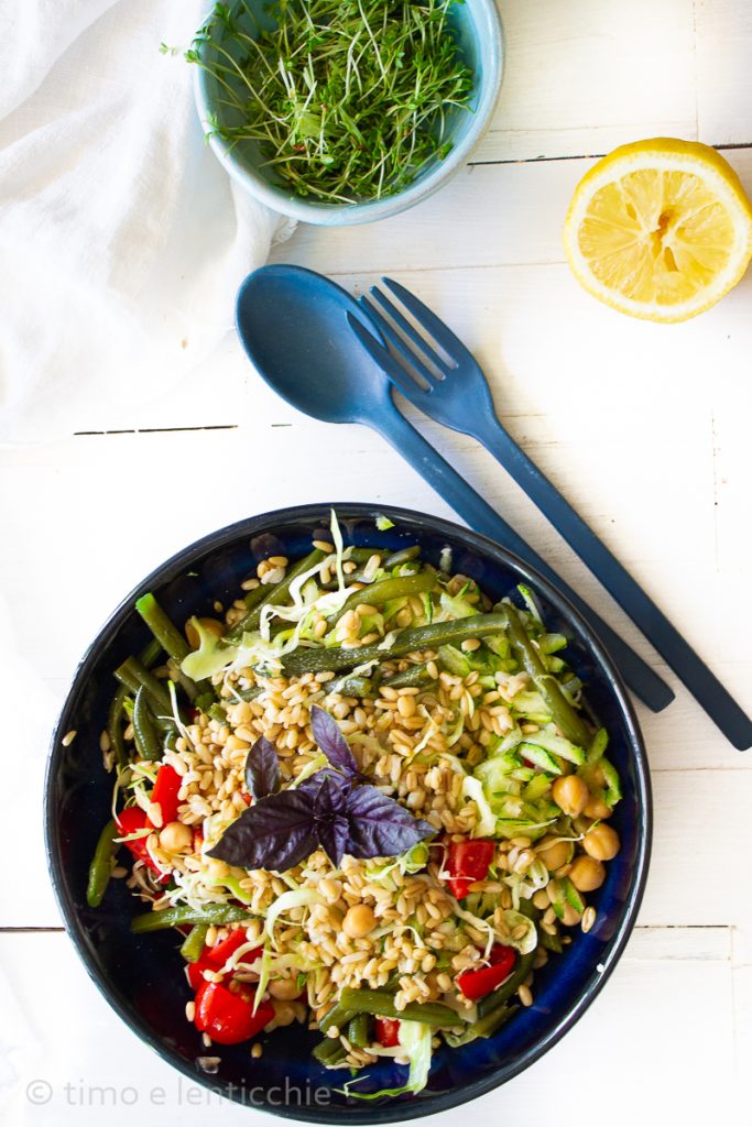 Salada de aveia, grão-de-bico e legumes