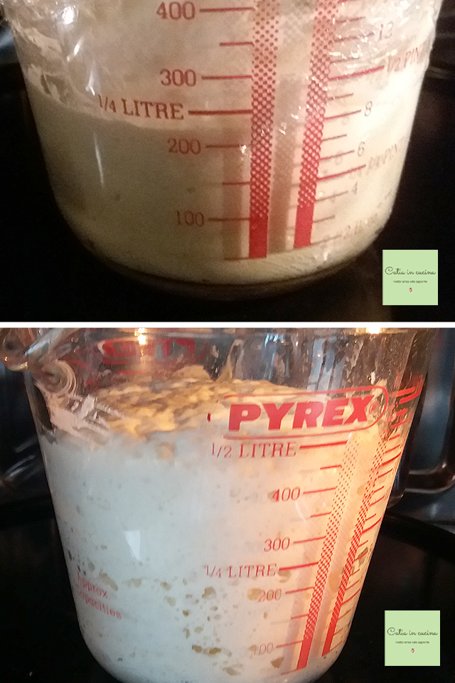 fermento de kefir passos