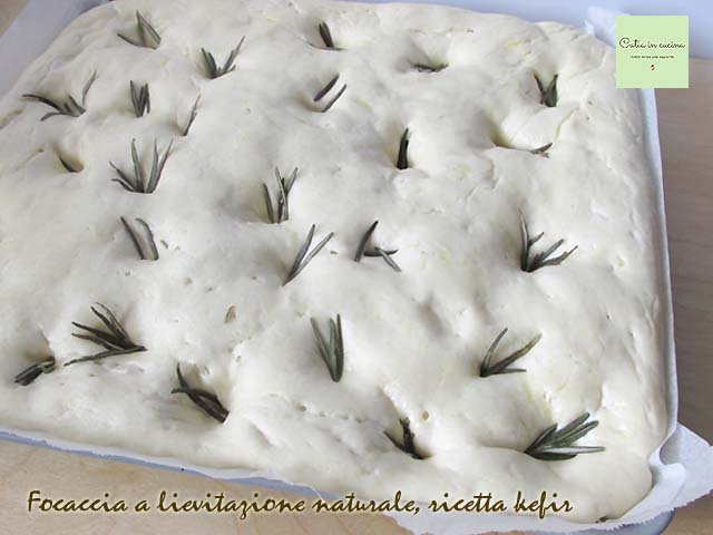 focaccia a lievitazione naturale-ricetta kefir