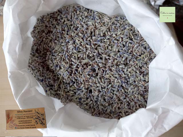 lavanda