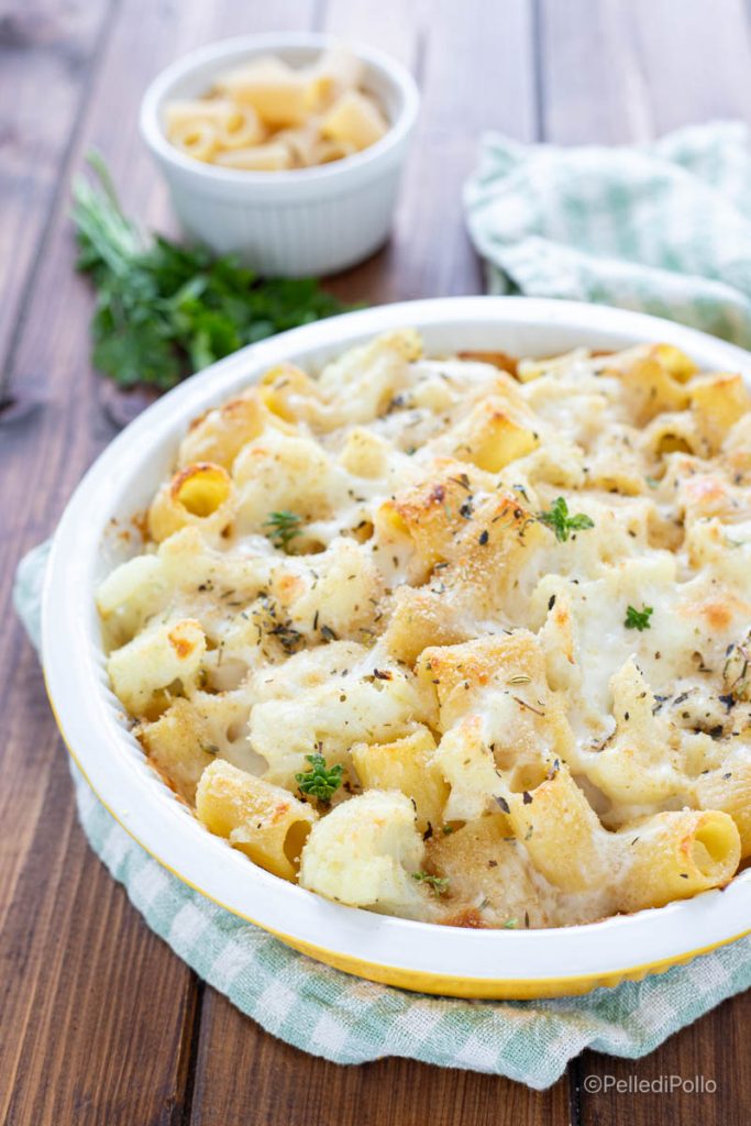 macarrão com couve-flor ao forno