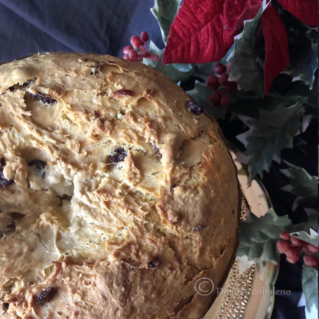 panettone amassado à mão