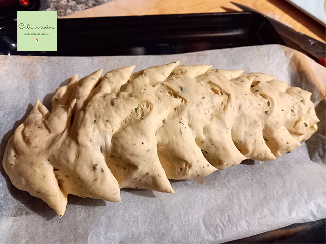 pão cone pronto para assar