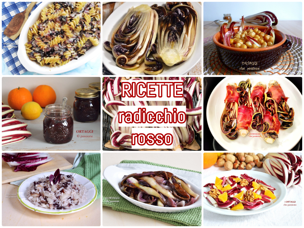 Receitas de Radicchio de Treviso – período precoce e tardio