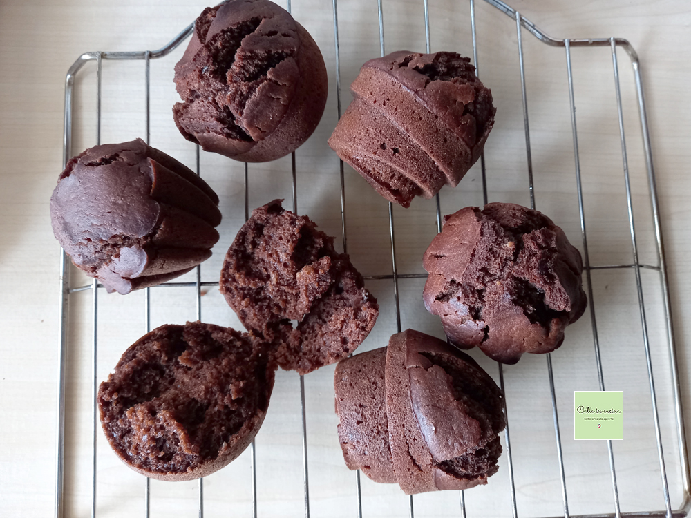 rosquinhas de café e cacau recém-assadas