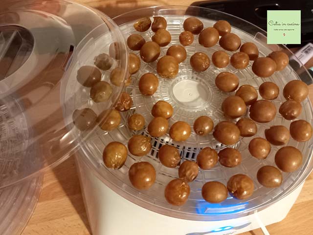 uva desidratada após 12 horas