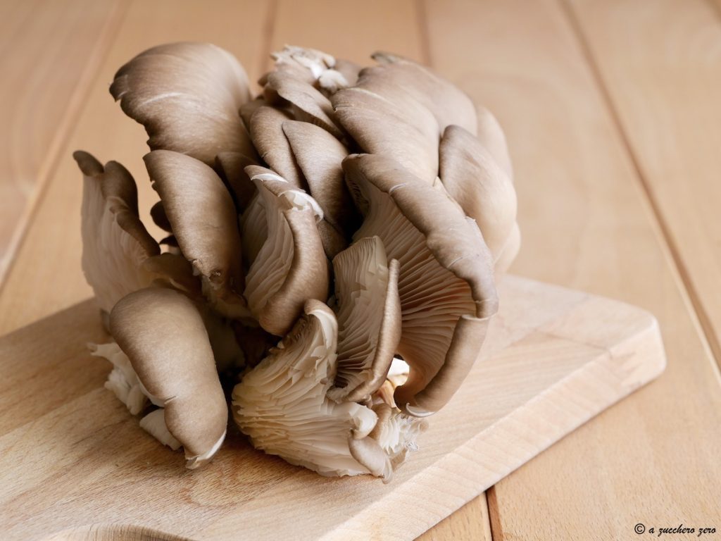 Cogumelos pleurotus