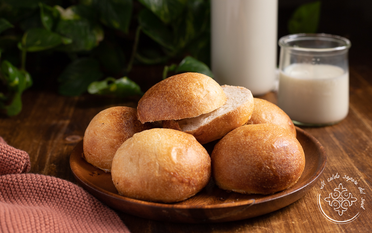 Pãezinhos de leite sicilianos