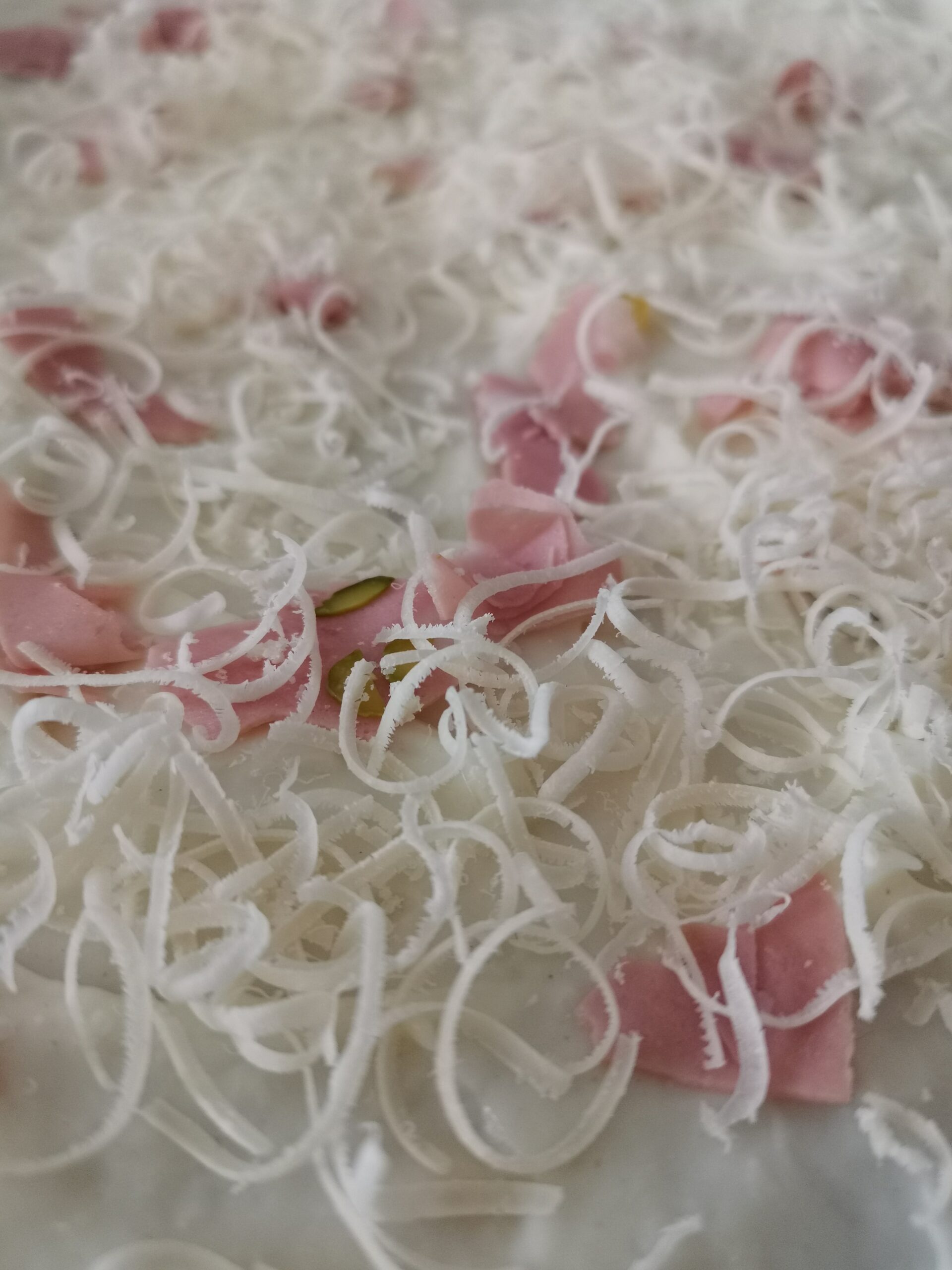 Lasanha cogumelos mortadella ricota